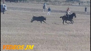 Encierro Loranca de Tajuña 150924 [upl. by Srini]