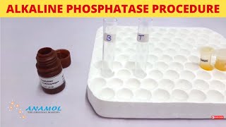 Alkaline Phosphatase Test  ALP Test [upl. by Ardnossak]