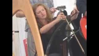 Welsh Music  Singing Saw amp Harp from the Denbigh Eisteddfod [upl. by Wight]