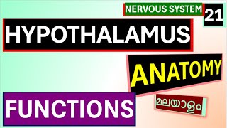 Hypothalamus Anatomy Physiology Malayalam Functions Of Hypothalamus Malayalam [upl. by Gasser]