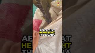 Heartfelt Effort to Save an Iguana Locked in a Market Cage [upl. by Tniassuot]