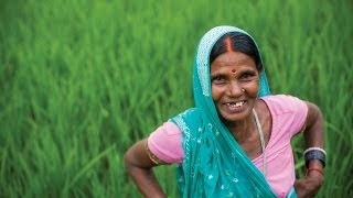 Empowering Women in Agriculture Rural Womenled Vegetable Farming Project [upl. by Kaiser]