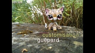 10 CUSTOM LPS petshop guépard  chat européen [upl. by Boonie]