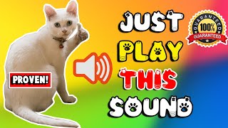 Mother cat calling for her kittens sound effect ⭐ mom cat sounds to attract cats [upl. by Salene]