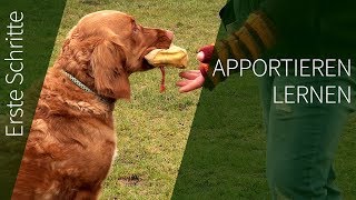 🐕🐶 Die richtige HALTUNG beim Hunde Erziehen  ➡️ Erklärvideo 🐕🐶✔️ [upl. by Caldwell585]