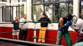 Juan Manuel quotDinamitaquot Márquez vs Josue quotGolden Boyquot Atilano [upl. by Sivi]