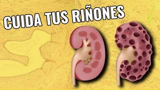 DIETA PARA CUIDAR EL RIÑÓN previene el daño renal tratamiento natural [upl. by Sidran]