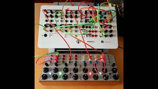 Macumbista Butterfly Benjolin amp Kilpatrick Audio Phenol [upl. by Munt]