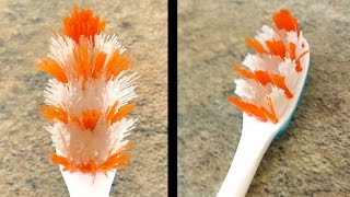 How To Revive A Worn Out Toothbrush [upl. by Vandyke]