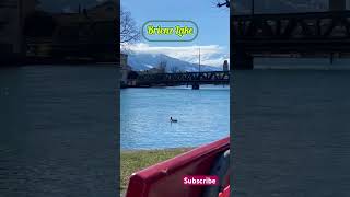 Interlaken Switzerland viraltraveltips travel trip shorts switzerland swisstravel yt short [upl. by Ayidah]