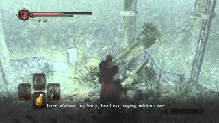 Dark Souls 2  Finding Vengarls Head AchievementTrophy [upl. by Calderon617]