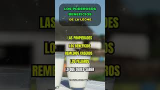 ¿ES BUENA LA LECHE 🥛 DESCUBRE SUS BENEFICIOS Y RIESGOS cuidado saludables lácteos [upl. by Serafina]