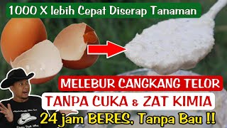 Kalsium ini 1000 kali lebih KUAT dari Cangkang Telur Biasa ini KRIM CANGKANG TELUR [upl. by Oruntha87]