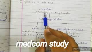 Degradation of cholesterol  synthesis of bile acids steroid hormones and vitamin  D [upl. by Gilba3]