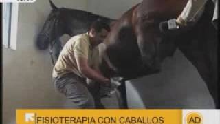 Fisioterapia con caballos en quotAndalucía Directoquot [upl. by Jodie]