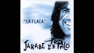 La flaca Jarabe de Palo Con letra [upl. by Sup]