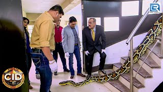 घर के अंदर मिले अजगर को कैसे पड़ेगी CID  CID Latest Episode  Best Of CID [upl. by Newo848]