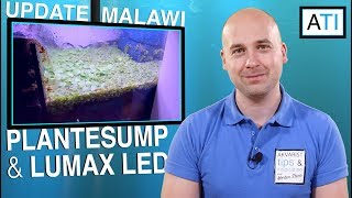 Plantesump  Malawi sump opdatering 2 [upl. by Channa]