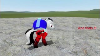 Pony Pac3 Tutorial 13  Custom Models HD [upl. by Antonietta158]