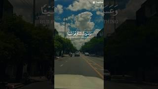 Sukhumvit 71 Rd  Bangkok  Thailand🇹🇭 youtube travel thailand nature islam islamic quran [upl. by Lartnom103]