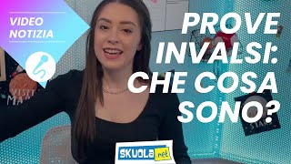 Prove Invalsi che cosa sono [upl. by Weissmann]