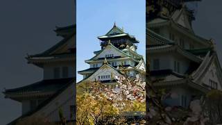 sakura season Osaka osakatravel japantravel sakurapark [upl. by Mercado]