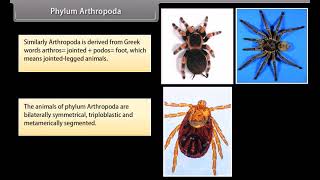 Standard 9 Science Diversity in Living Organisms I [upl. by Schroder270]