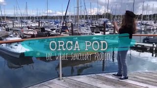 ORCA POD The Whale Sanctuary Project Documentary 2021  Ocean Chicks Films [upl. by Aldus]