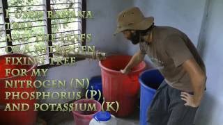 FREE  Homemade Plant fertilizer [upl. by Allesig]