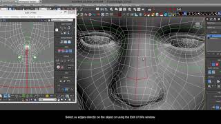 miauus Transfer Edges UVW to Poly [upl. by Ativad]