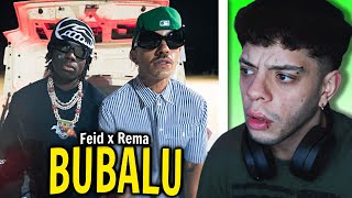 REACCIÓN Feid Rema  Bubalu Official Video [upl. by Enad617]