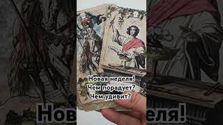 таро гаданиеонлайн tarot таролог гадание fortune тароонлайн [upl. by Lotte]