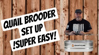 Quail Brooder Set Up  Super Easy [upl. by Aehr786]