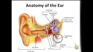 Mastoiditis  A Thorough Review [upl. by Ahsiuqel840]