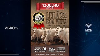 LEILÕES BOA VISTA AO VIVO  SANTA JULIANA  MG [upl. by Anewor]