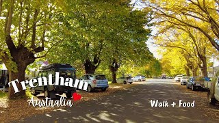 4K Beautiful Autumn Day in Australia ⎮ Places to Visit Near Melbourne Australia australia [upl. by Esinrahc311]