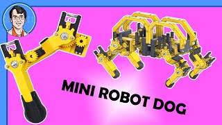 Mini Robot Dog  The Affordable Quadruped 1 [upl. by Kcirdneh848]