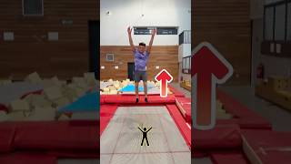 Vous faites quoi comme sport  wiisport gymnaste trampoline [upl. by Mohorva]