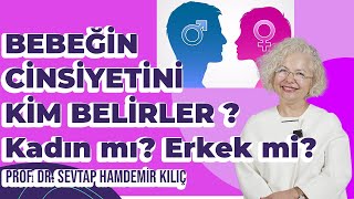 Bebeğin Cinsiyetini Kim Belirler Anne mi Baba mı X amp Y Kromozomu [upl. by Yenots]