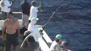 Yellowfin tuna fishing on the Excel in Mexico [upl. by Gentry127]