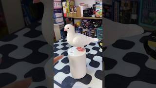 Amazing Piegeon😍। Best home gadget ।shorts trend magic shortvideo [upl. by Chatwin]