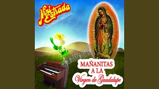 La Guadalupana Desde el Cielo [upl. by Dviad]