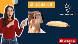 Termite queen दीमकों की रानी   shorts amazingvideos animalvideos [upl. by Tarrah]