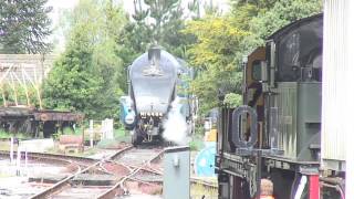 LNER 4464 Bittern at Churston Turntable 210513 23 [upl. by Docilla722]