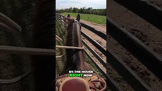 Exploring Equestrian Life on Our Ranch  Horseback Riding [upl. by Bridwell714]