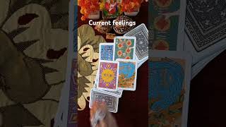 Current feelings shorts trending viral tarotcards tarotreading [upl. by Wyatan455]