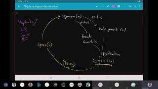 Life cycle haplontic diplontic dinoflagellates Part 11 [upl. by Stoneman]