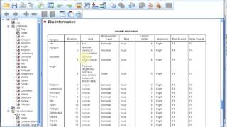 S01E0415 SPSS Basics  Codebook [upl. by Inahpets]