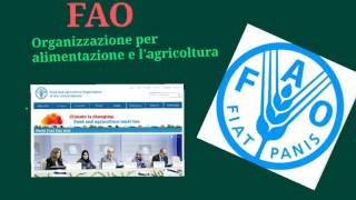 le organizzazioni internazionali [upl. by Firestone]