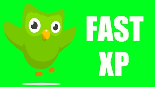 Duolingo How to get fast XP in Duolingo Timed Practice Method [upl. by Aniloj]